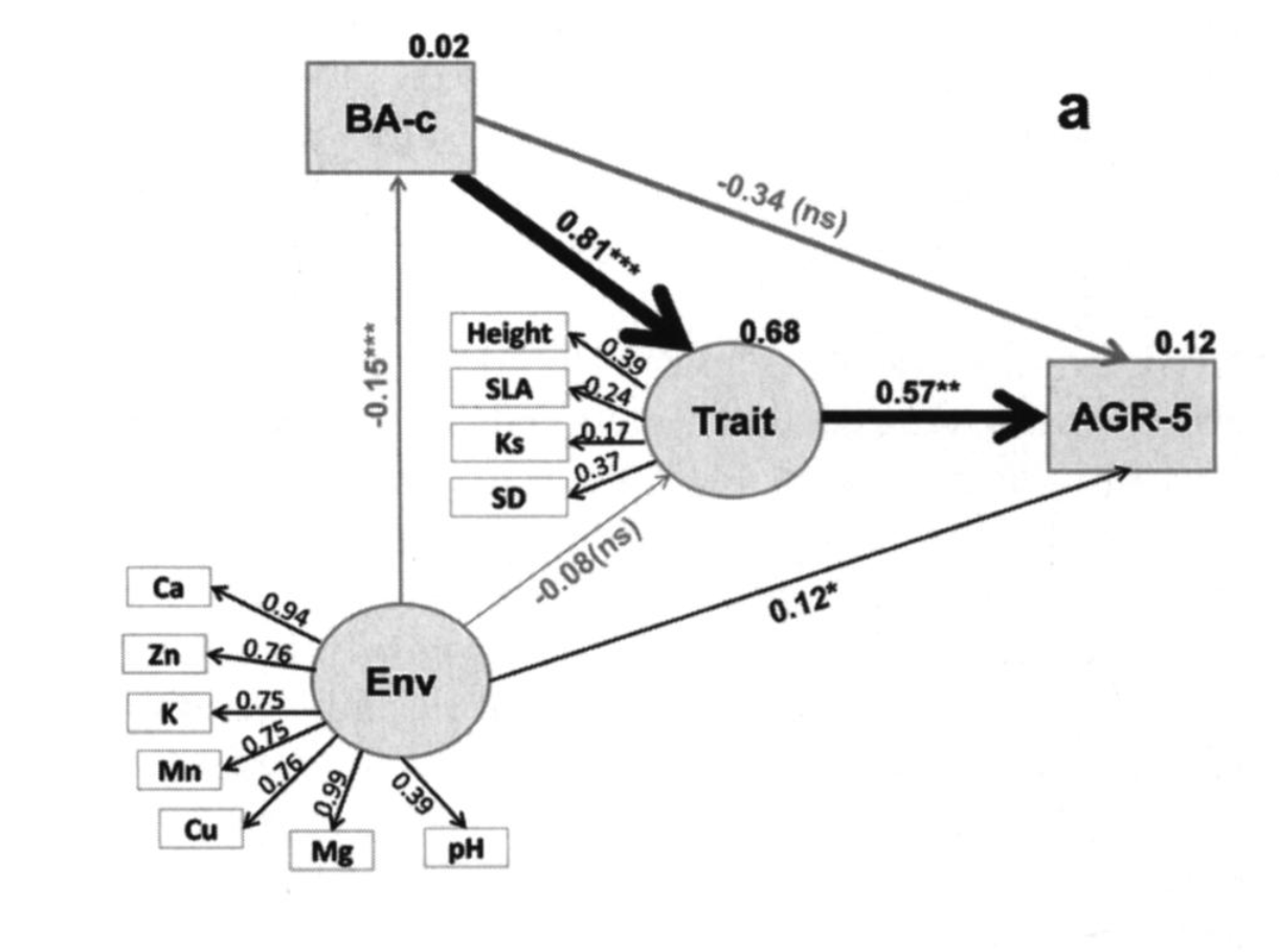 abstract-pls-sem-model-example-constructs-a-x-and-y-are-reflectively